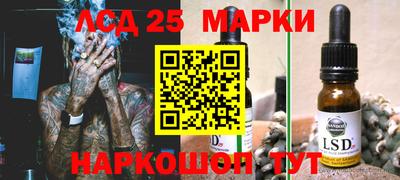прущие грибы Шахты