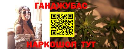 прущие грибы Шахты
