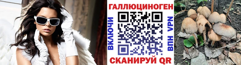 Галлюциногенные грибы Psilocybe  Алексин 