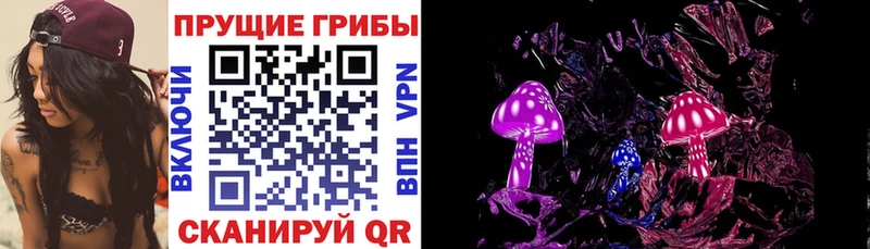 Псилоцибиновые грибы мицелий Алексин