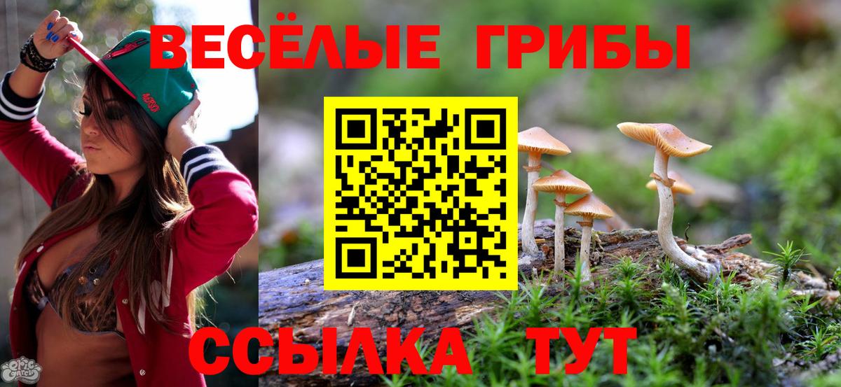 Галлюциногенные грибы мухоморы  Вход с VPN  Алексин  Псилоцибиновые грибы Magic Shrooms 